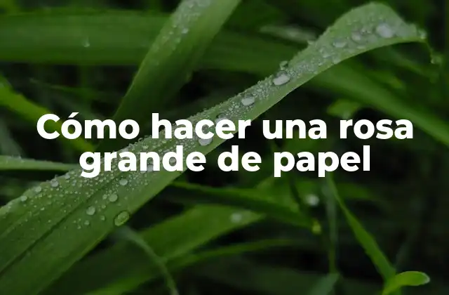 Cómo Hacer una Rosa Grande de Papel