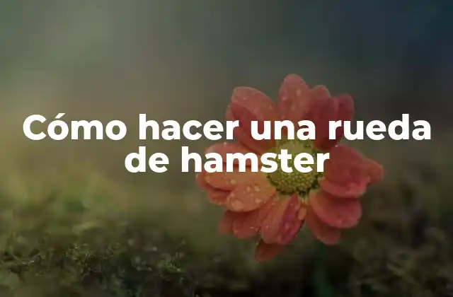 Cómo Hacer una Rueda de Hamster