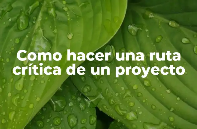 Ruta crítica de un proyecto