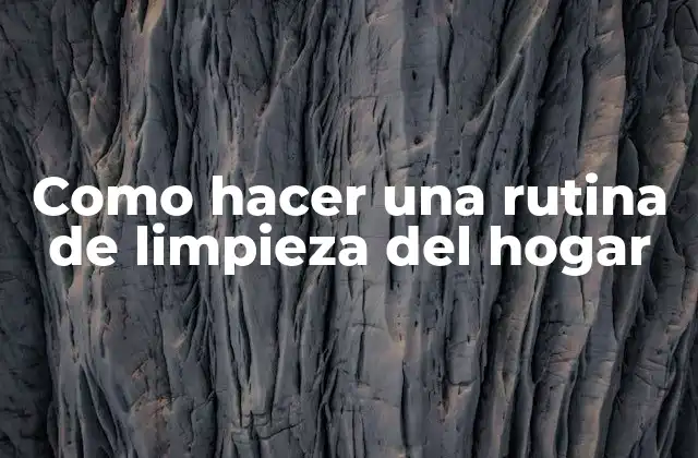 Como Hacer una Rutina de Limpieza Del Hogar