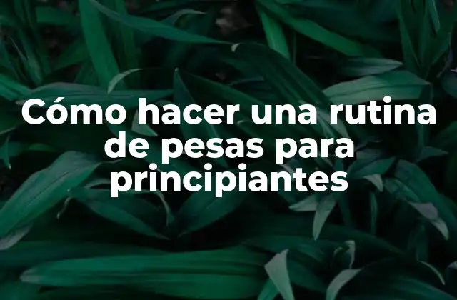Cómo Hacer una Rutina de Pesas para Principiantes