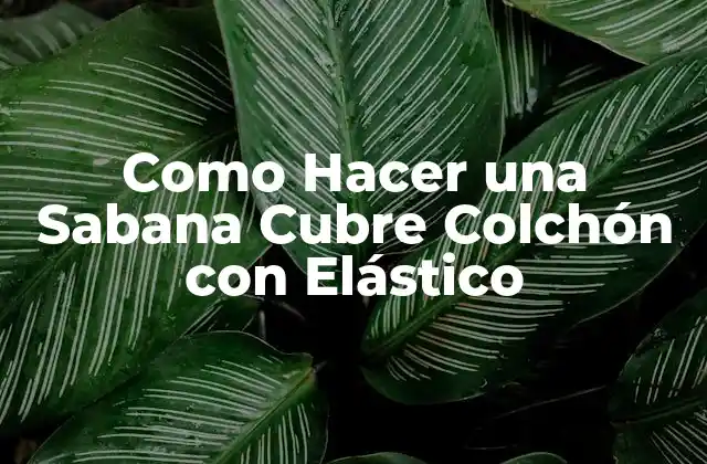 Como Hacer una Sabana Cubre Colchón con Elástico