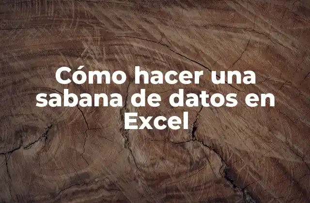 Cómo Hacer una Sabana de Datos en Excel