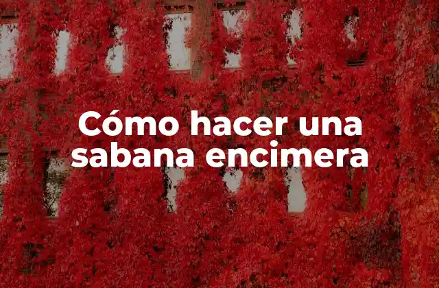 Cómo Hacer una Sabana Encimera