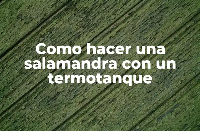 Como Hacer una Salamandra con un Termotanque