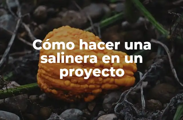 Cómo Hacer una Salinera en un Proyecto