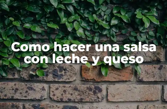 Como Hacer una Salsa con Leche y Queso