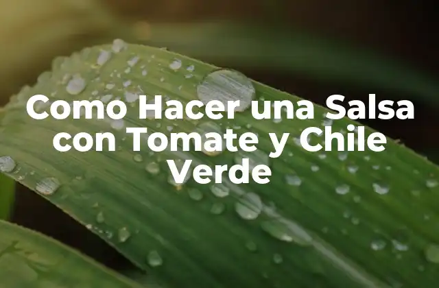 Como Hacer una Salsa con Tomate y Chile Verde 2 ¿Qué es una Salsa con Tomate y Chile Verde?