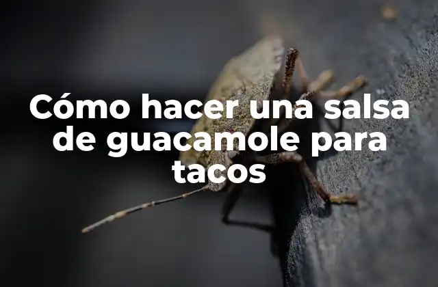 Cómo Hacer una Salsa de Guacamole para Tacos
