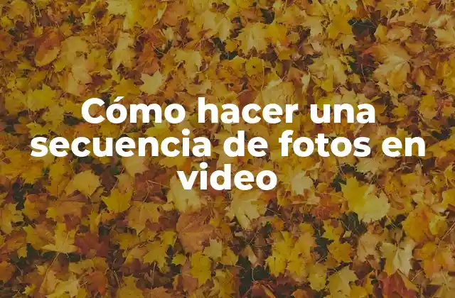 Cómo Hacer una Secuencia de Fotos en Video