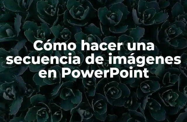 Cómo Hacer una Secuencia de Imágenes en Powerpoint
