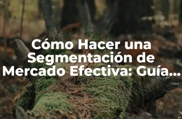 ¿Por qué es Importante la Segmentación de Mercado?