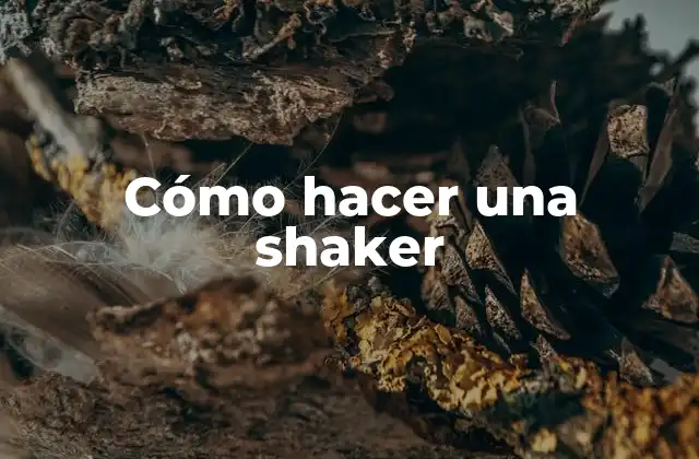¿Qué es una shaker y para qué sirve?