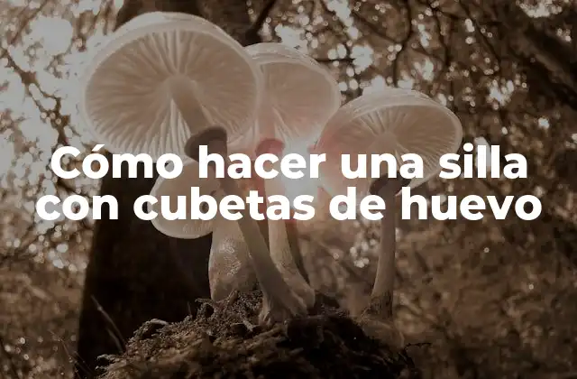 Cómo Hacer una Silla con Cubetas de Huevo