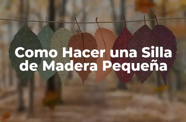 Como Hacer una Silla de Madera Pequeña