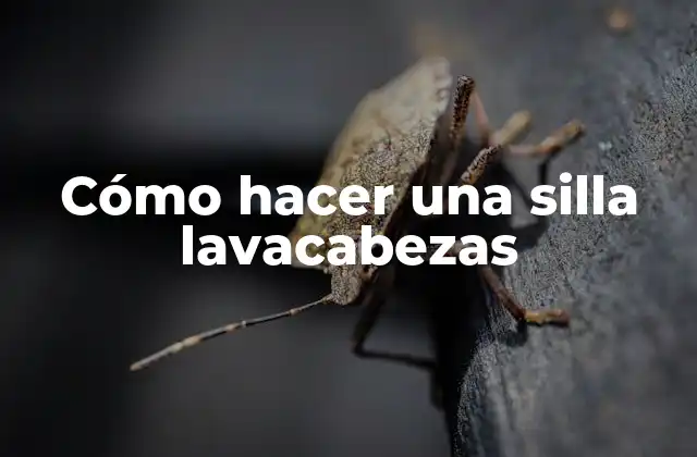 Cómo Hacer una Silla Lavacabezas
