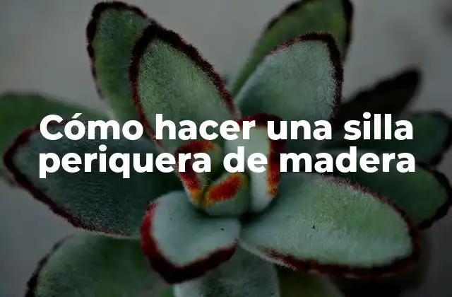 Cómo Hacer una Silla Periquera de Madera