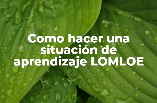 Como Hacer una Situación de Aprendizaje Lomloe