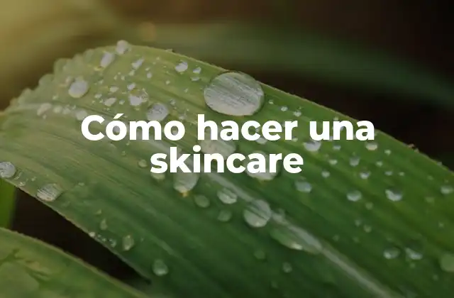 Cómo Hacer una Skincare 2 Cómo hacer una skincare