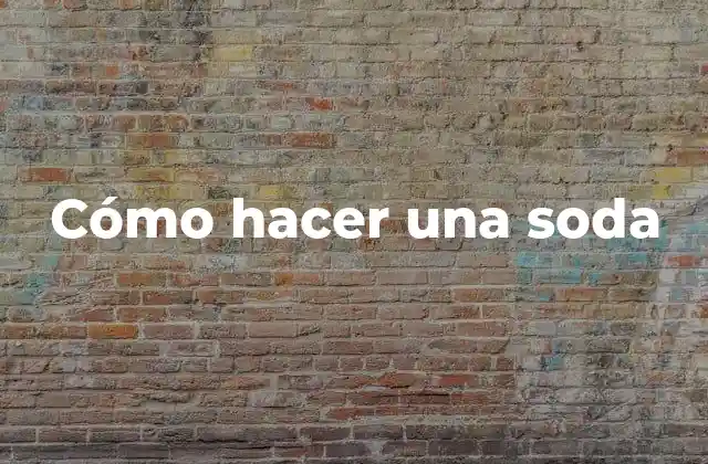 Cómo Hacer una Soda