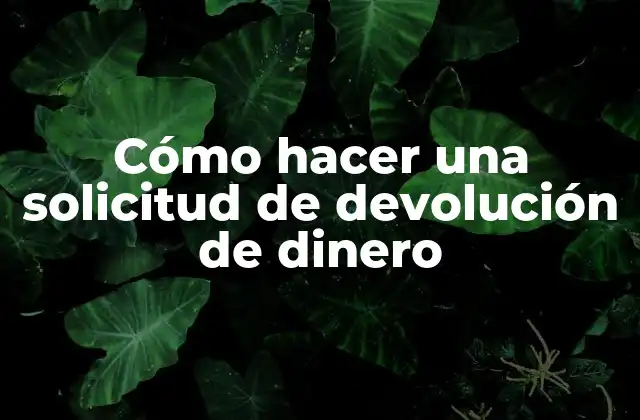 Cómo Hacer una Solicitud de Devolución de Dinero