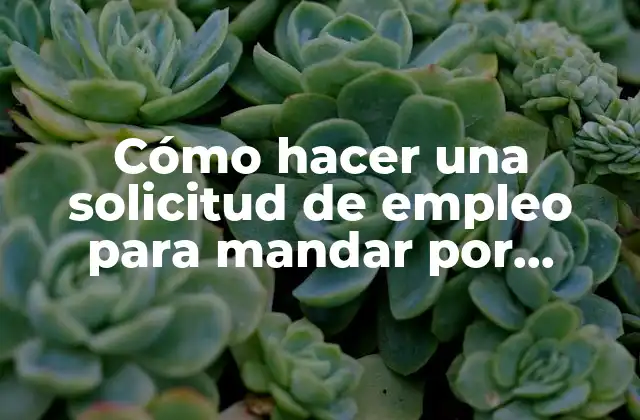 Cómo Hacer una Solicitud de Empleo para Mandar por Correo