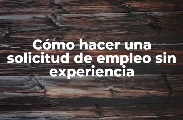 Cómo Hacer una Solicitud de Empleo sin Experiencia
