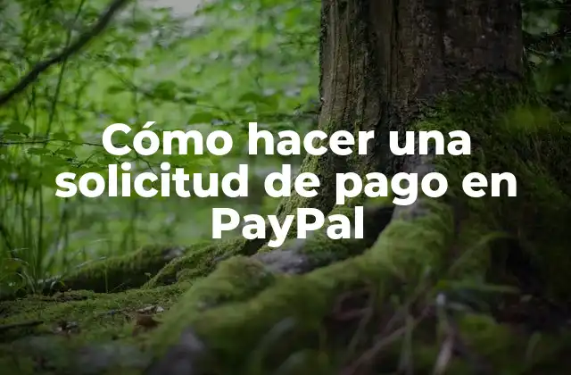 Cómo Hacer una Solicitud de Pago en Paypal