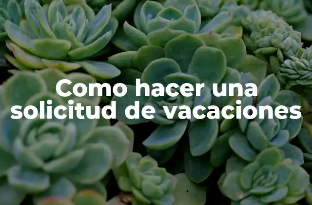 Como Hacer una Solicitud de Vacaciones
