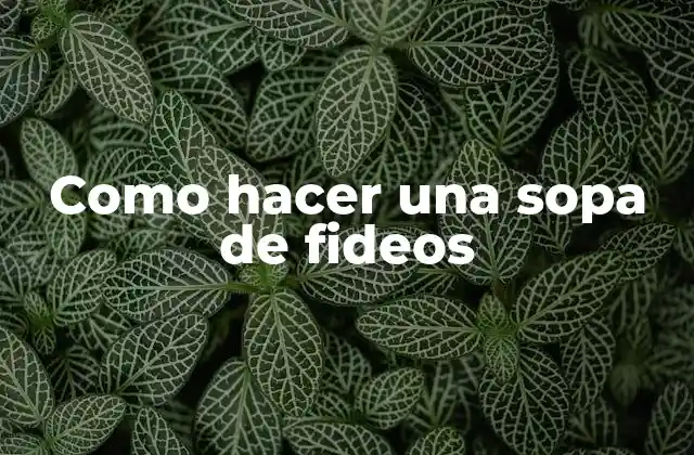 Como Hacer una Sopa de Fideos