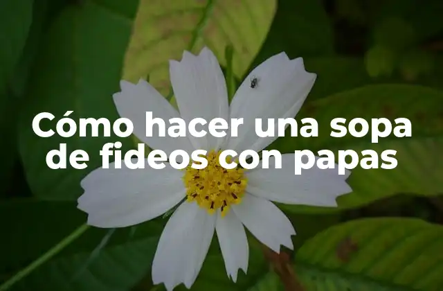 Cómo Hacer una Sopa de Fideos con Papas