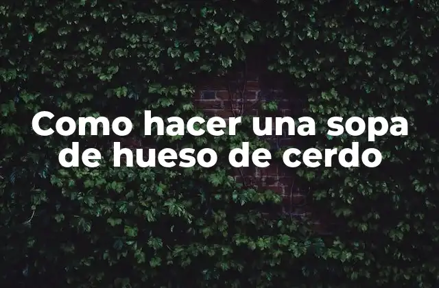 Como Hacer una Sopa de Hueso de Cerdo