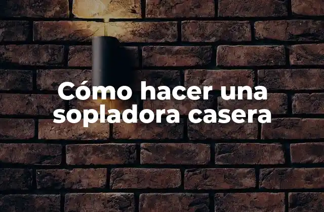 Cómo Hacer una Sopladora Casera