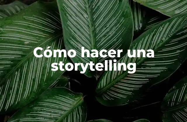 Cómo Hacer una Storytelling