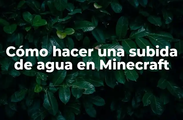 Cómo Hacer una Subida de Agua en Minecraft 2 ¿Qué es una subida de agua en Minecraft?