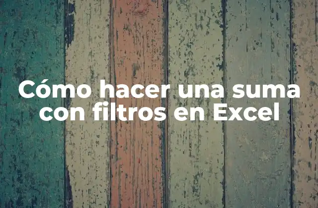 Cómo Hacer una Suma con Filtros en Excel