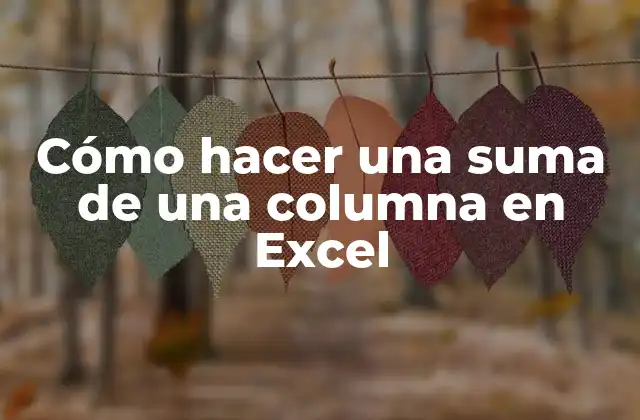 Cómo Hacer una Suma de una Columna en Excel