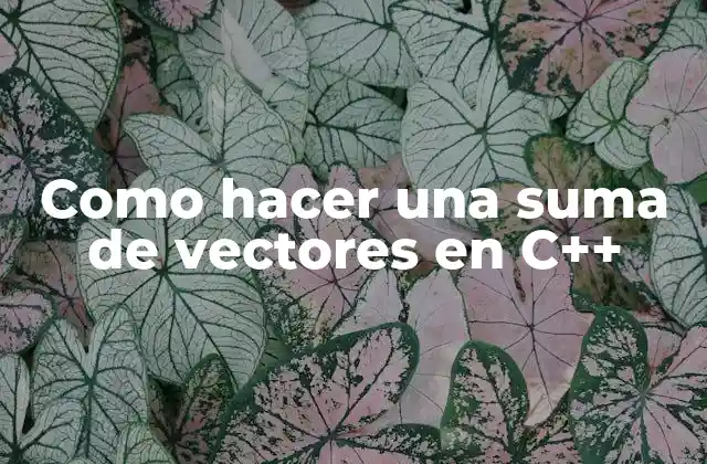 Como Hacer una Suma de Vectores en C++