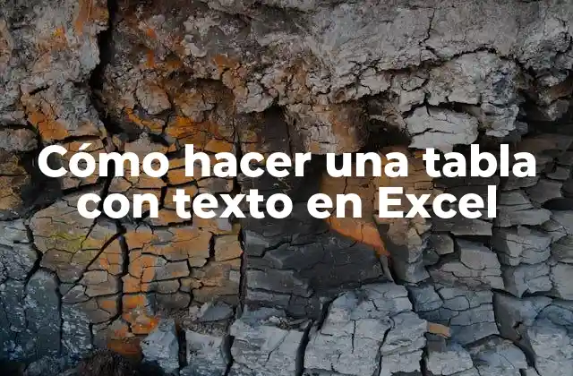 Cómo Hacer una Tabla con Texto en Excel