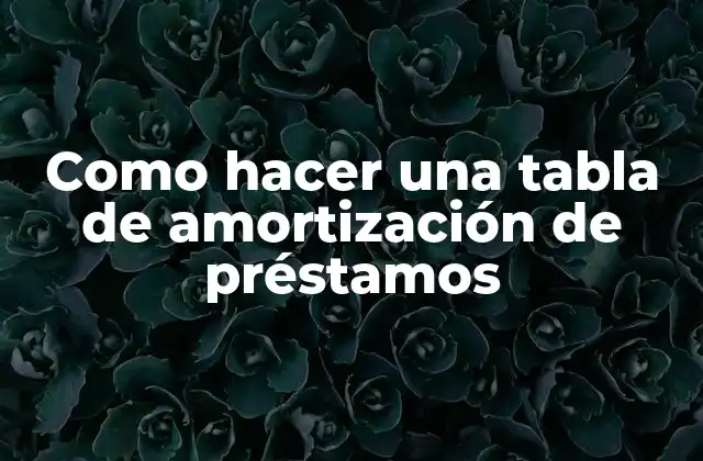 Como Hacer una Tabla de Amortización de Préstamos