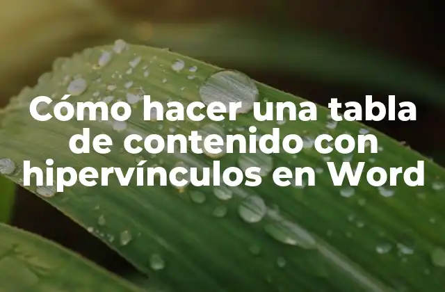 Cómo Hacer una Tabla de Contenido con Hipervínculos en Word