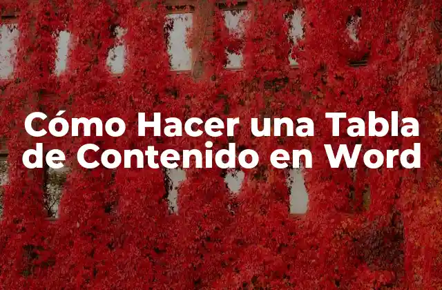 Cómo Hacer una Tabla de Contenido en Word