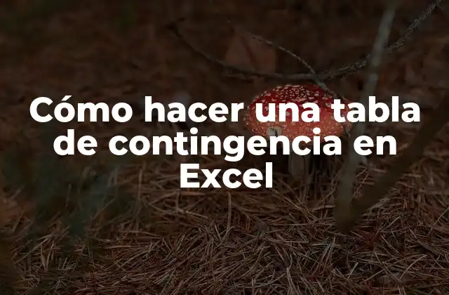 Cómo Hacer una Tabla de Contingencia en Excel 2 Cómo hacer una tabla de contingencia en Excel