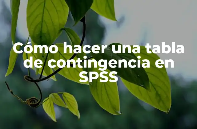 Cómo Hacer una Tabla de Contingencia en Spss