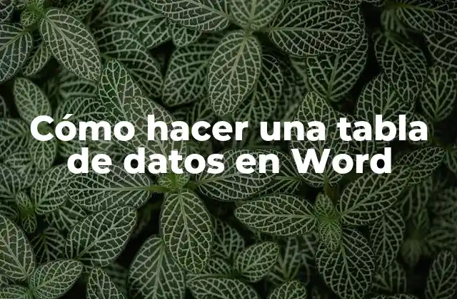 Cómo Hacer una Tabla de Datos en Word