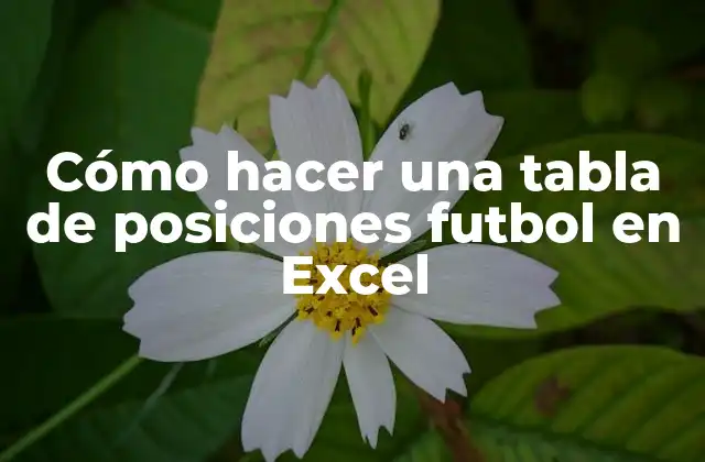 Cómo Hacer una Tabla de Posiciones Futbol en Excel 2 Cómo hacer una tabla de posiciones futbol en Excel