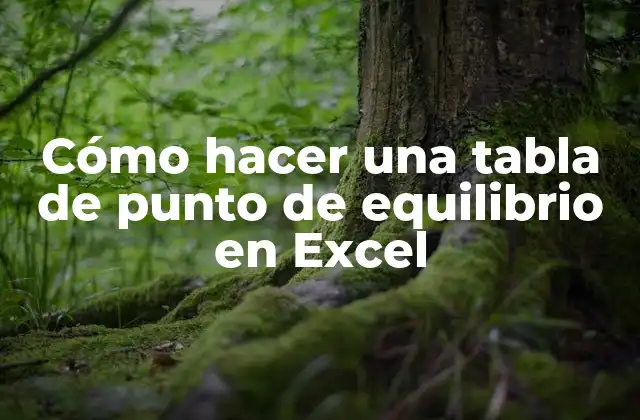 Cómo Hacer una Tabla de Punto de Equilibrio en Excel