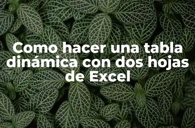 Tabla dinámica con dos hojas de Excel