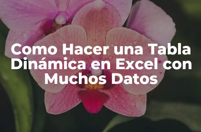 Como Hacer una Tabla Dinámica en Excel con Muchos Datos