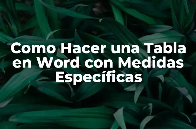 Como Hacer una Tabla en Word con Medidas Específicas